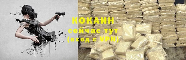прущие грибы Абинск