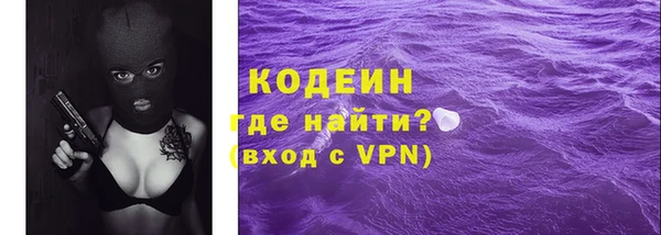 прущие грибы Абинск