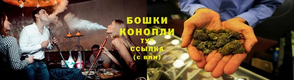прущие грибы Абинск