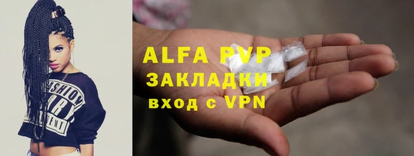 спиды Абаза