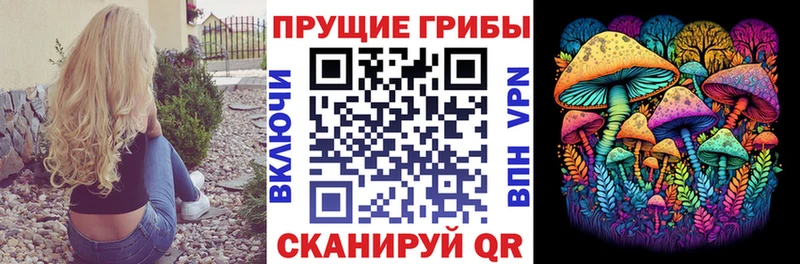 Псилоцибиновые грибы мухоморы  сколько стоит  Галич 
